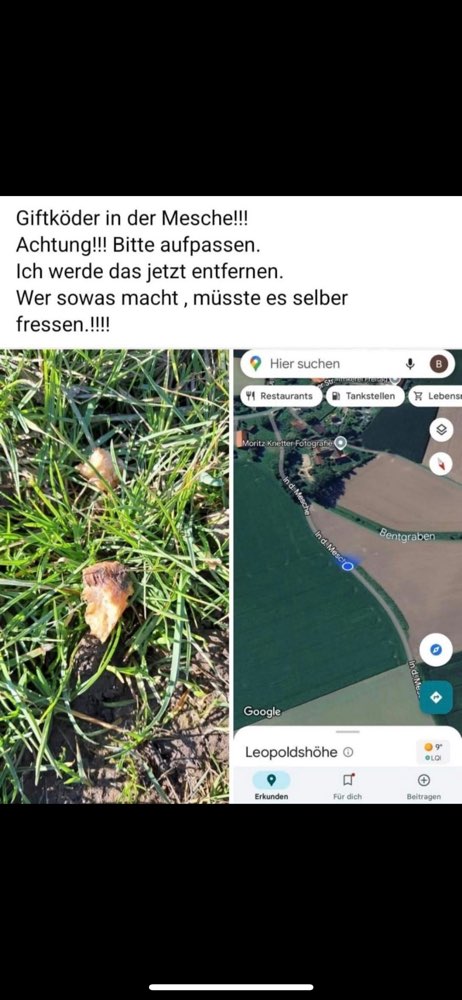 Giftköder-Giftköder-Profilbild