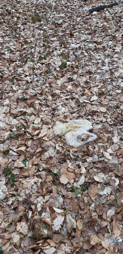 Giftköder-Mülltüte mit Essensresten ausgeleert-Profilbild