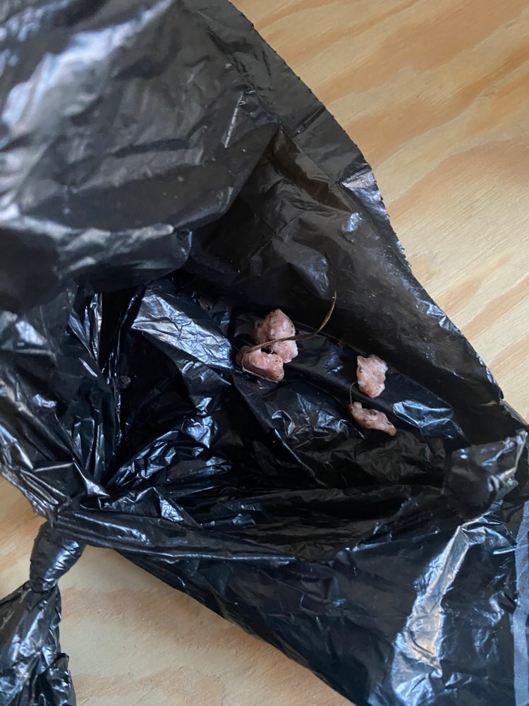 Giftköder-Fleischstücke-Profilbild