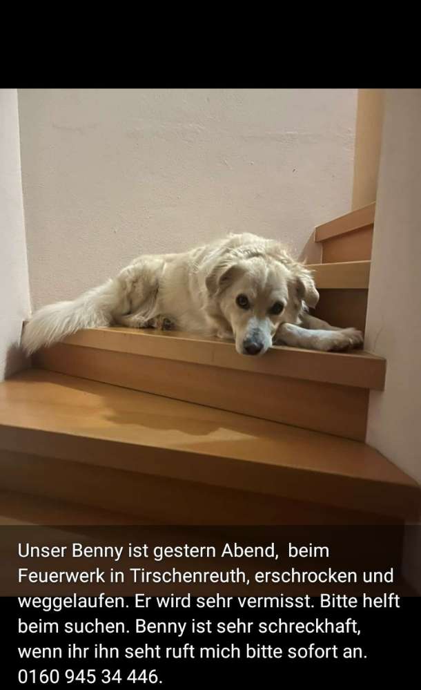 Suchmeldung-Benny-Profilbild
