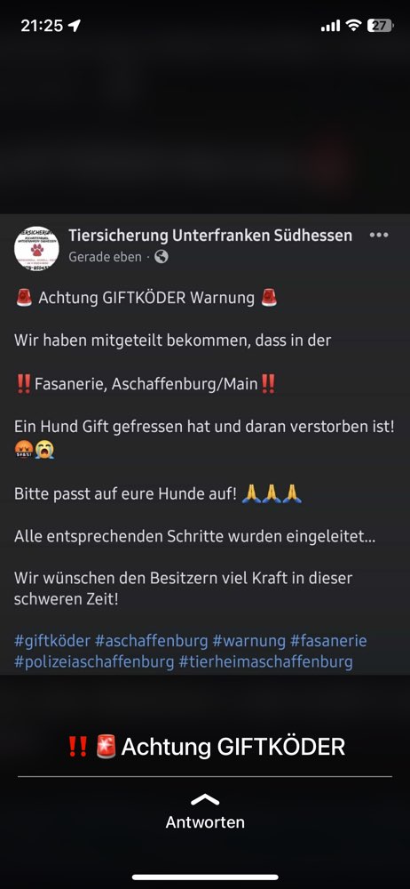 Giftköder-Giftköder, Hund tot-Profilbild