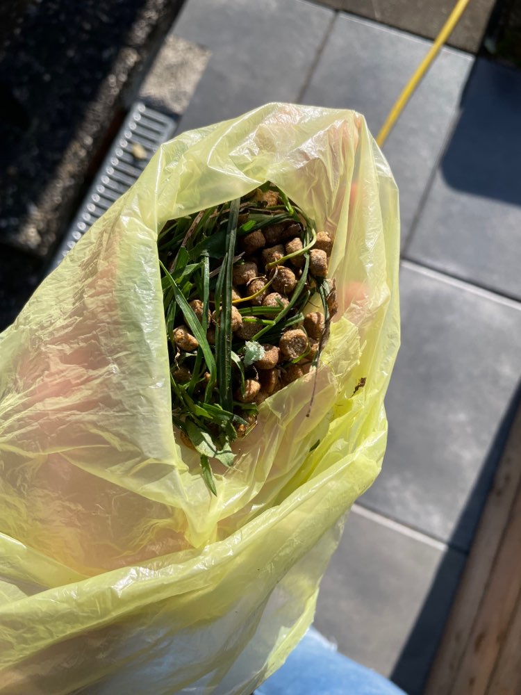 Giftköder-Trockenfutter ausgelegt (evtl. Getränkt)-Profilbild