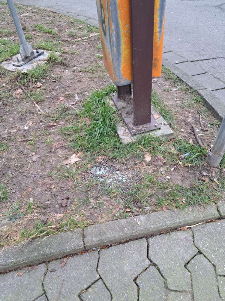 Giftköder-Blaue Körner/Giftköder-Profilbild