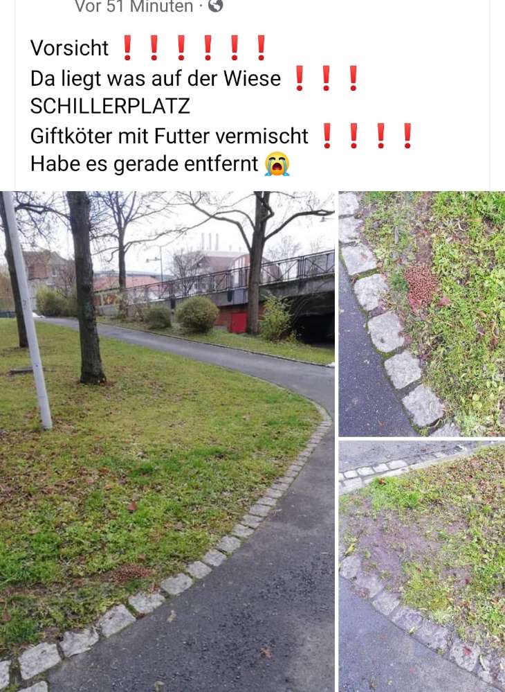 Giftköder-Giftköder Schillerplatz-Profilbild