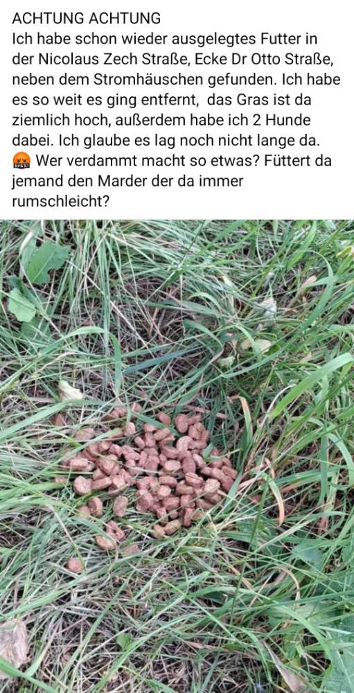 Giftköder-Erneut ausgelegtes Futter-Profilbild