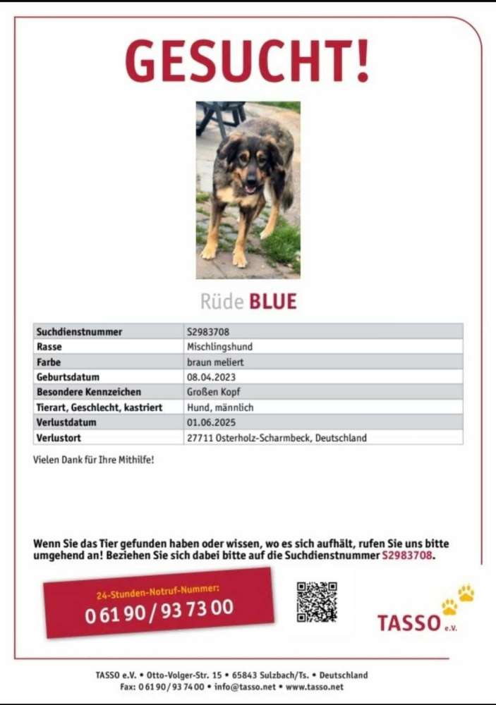 Suchmeldung-Blue-Profilbild