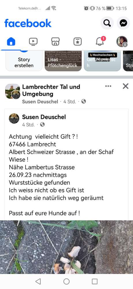 Giftköder-Nassfutter im Gras gegenüber Hundeschule-Profilbild
