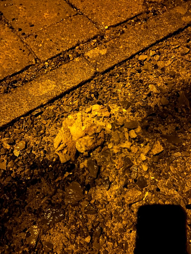 Giftköder-Undefinierbarer Haufen aus Fleisch-Profilbild