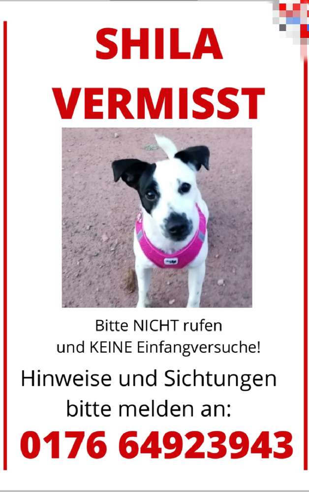 Suchmeldung-Shila-Profilbild