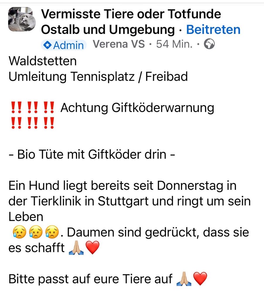 Giftköder-Giftköder-Profilbild