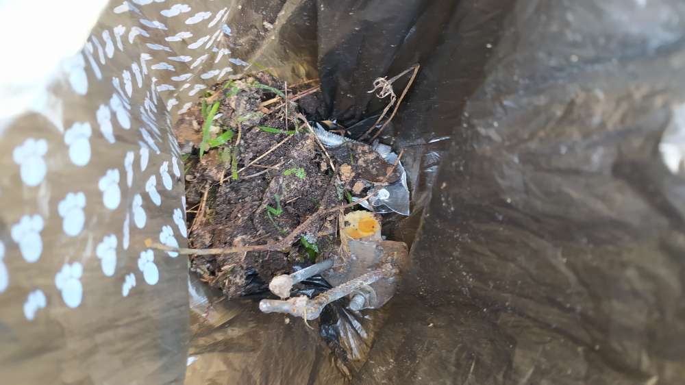 Giftköder-Gift/Brot/Erbrochenes? Undefinierbar!-Profilbild