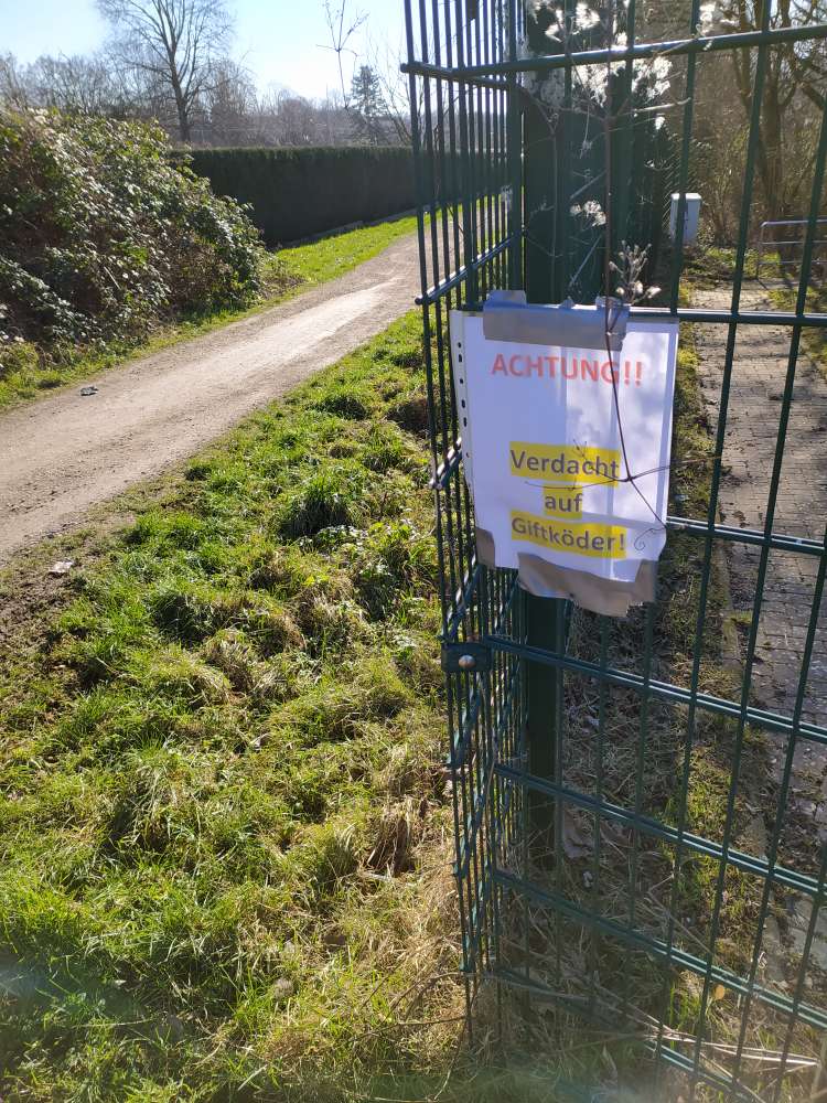 Giftköder-Verdacht auf Giftköder #3-Profilbild