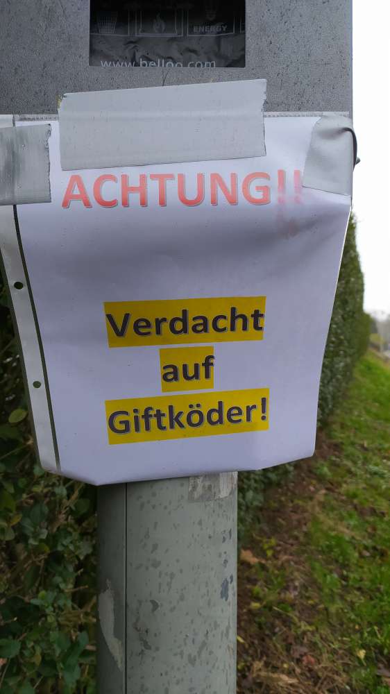 Giftköder-Verdacht auf Giftköder #2-Profilbild