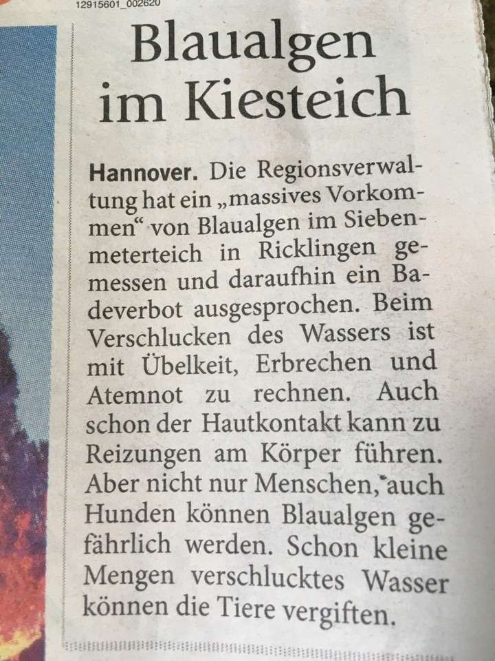 Giftköder-Blaualgen-Profilbild