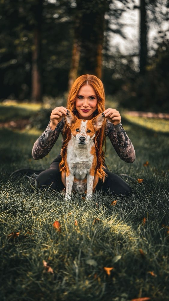 Hundetreffen-Nette Gassifreunde gesucht-Profilbild