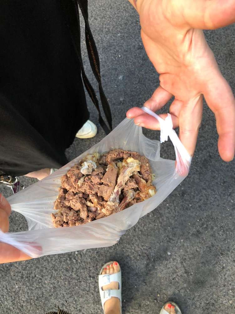 Giftköder-Zwei Tüten mit Hundefutter/Fleisch-Profilbild