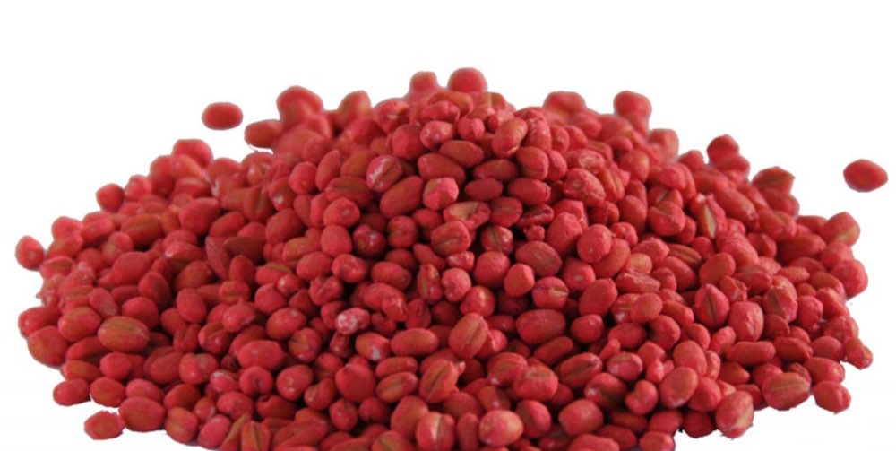 Giftköder-Rotes Rattengift-Profilbild