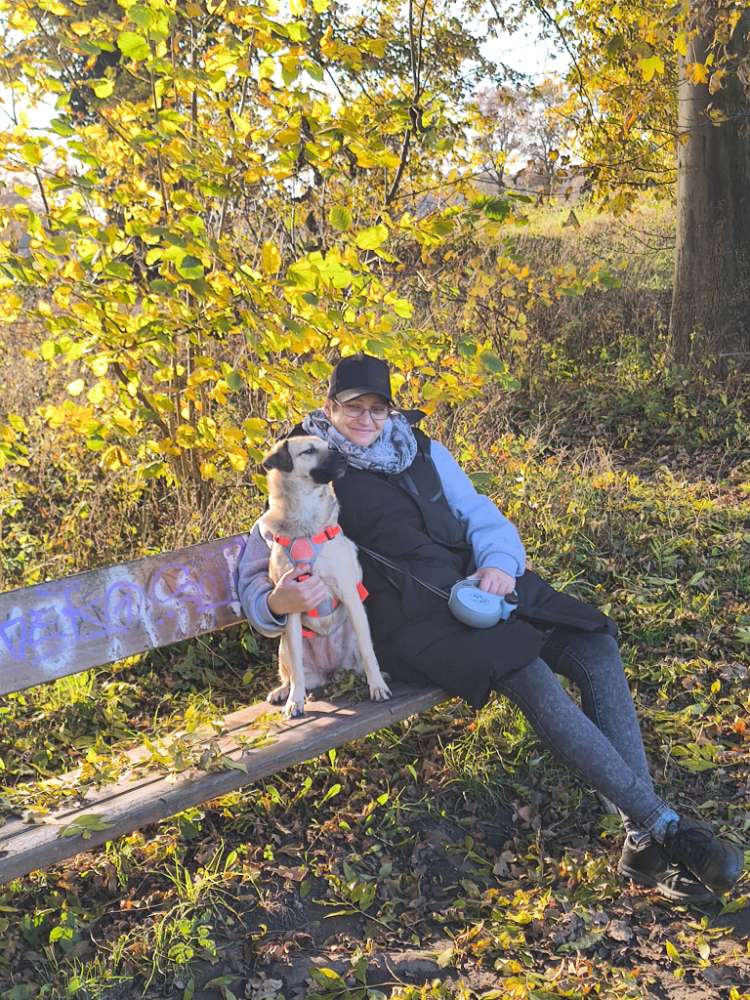 Hundetreffen-Zusammen spazieren gehen und kennen lernen-Profilbild