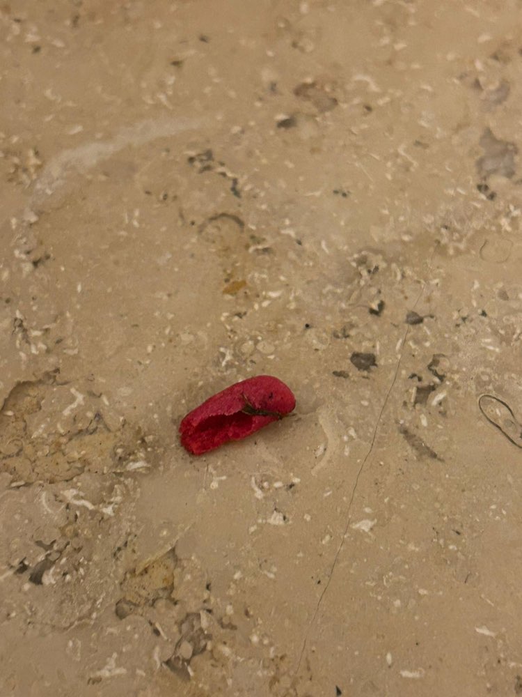 Giftköder-Rattengift-Profilbild