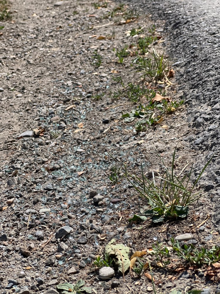 Giftköder-Glassplitter auf dem Feldweg-Profilbild