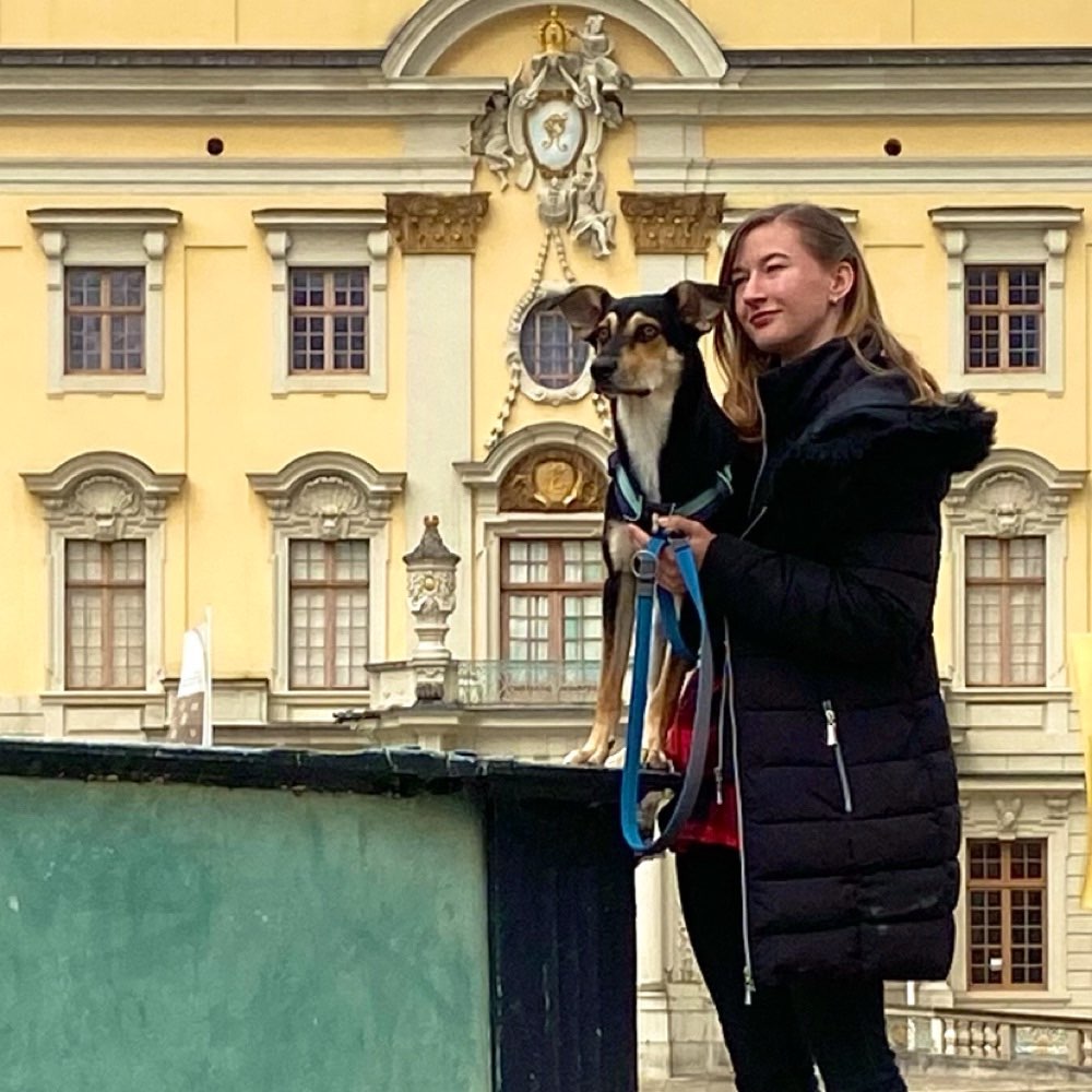 Hundetreffen-Hundebegegnungen trainieren-Profilbild