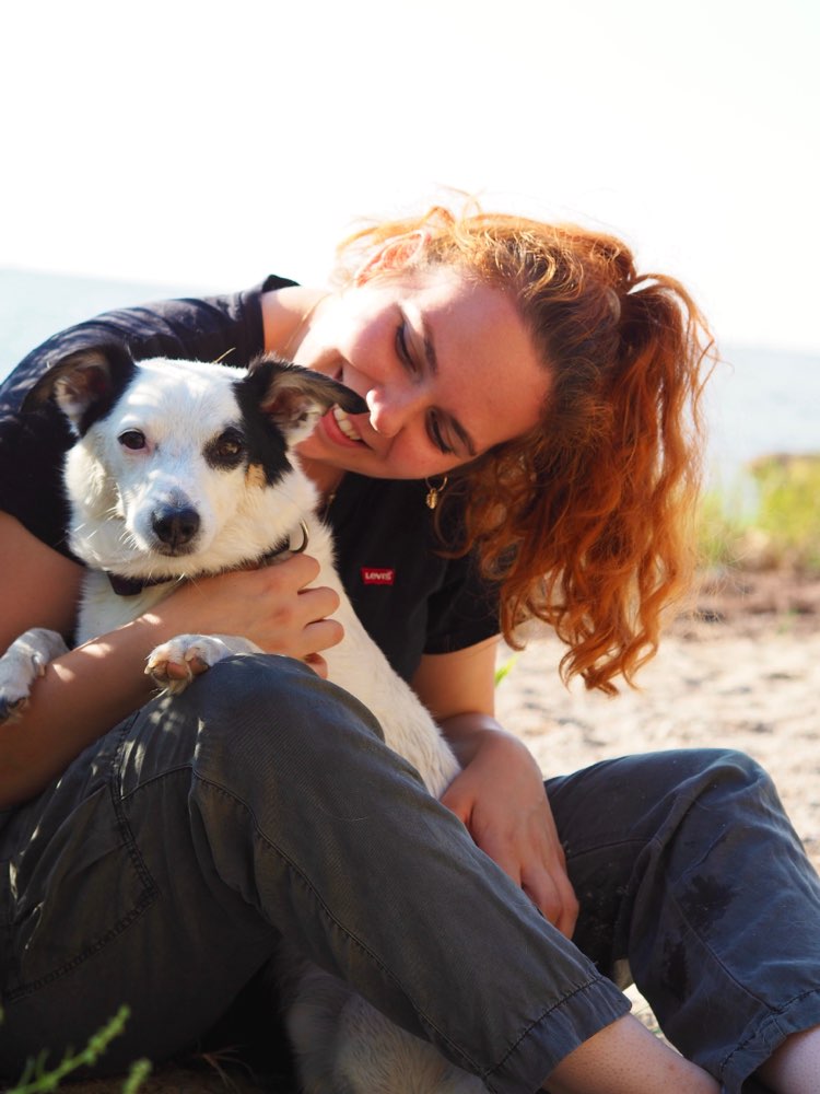 Hundetreffen-Hundefreunde zum spazieren gesucht😊-Profilbild