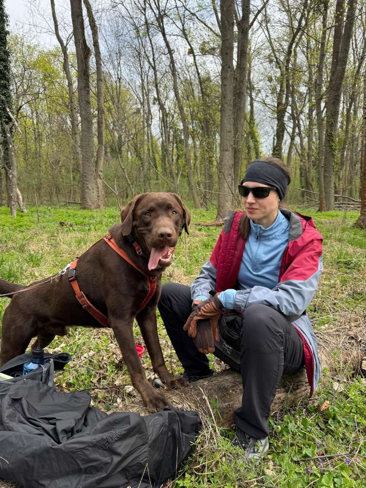 Hundetreffen-Social Walks und Spieltreffen in der Seestadt-Profilbild