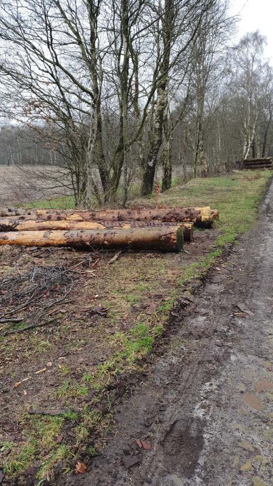 Giftköder-Essensreste am Seitengraben-Profilbild