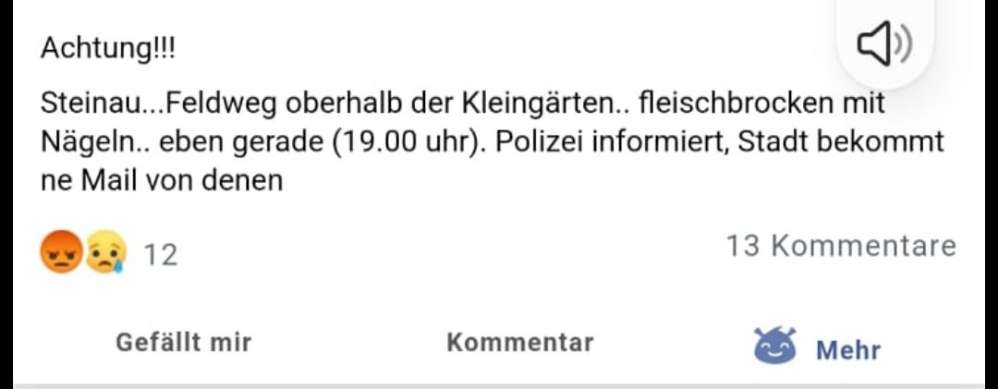 Giftköder-Fleischbrocken mit Nägel-Profilbild