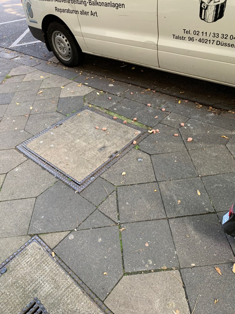 Giftköder-Vorsicht: Nassfutter auf dem Gehweg-Profilbild