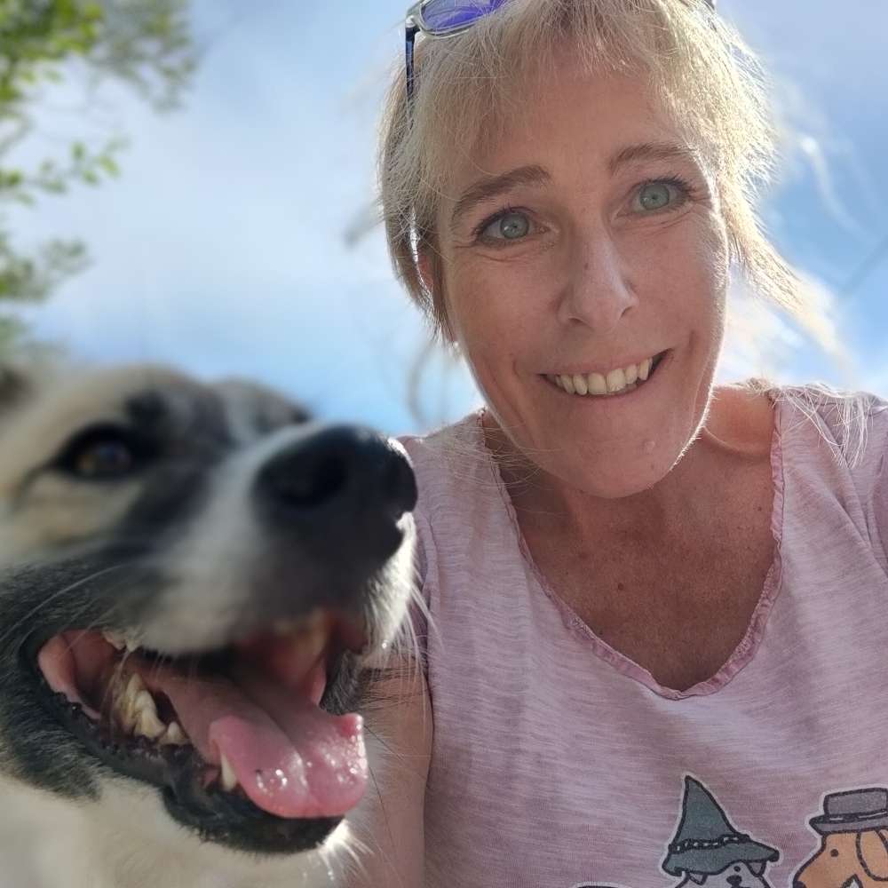 Hundetreffen-Gassirunde mit Spieleinheiten-Profilbild