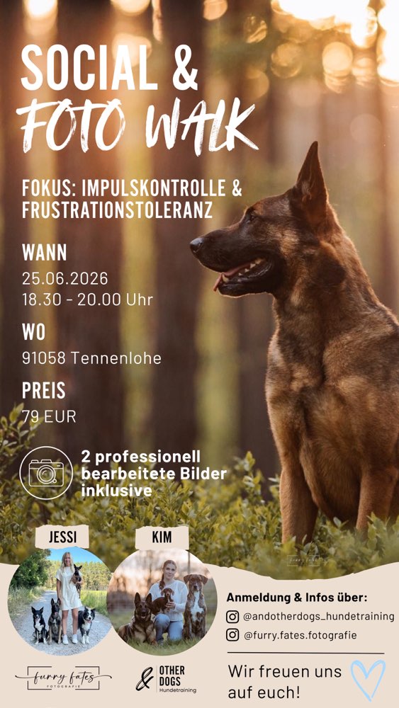 Hundetreffen-Social- und Fotowalk-Profilbild