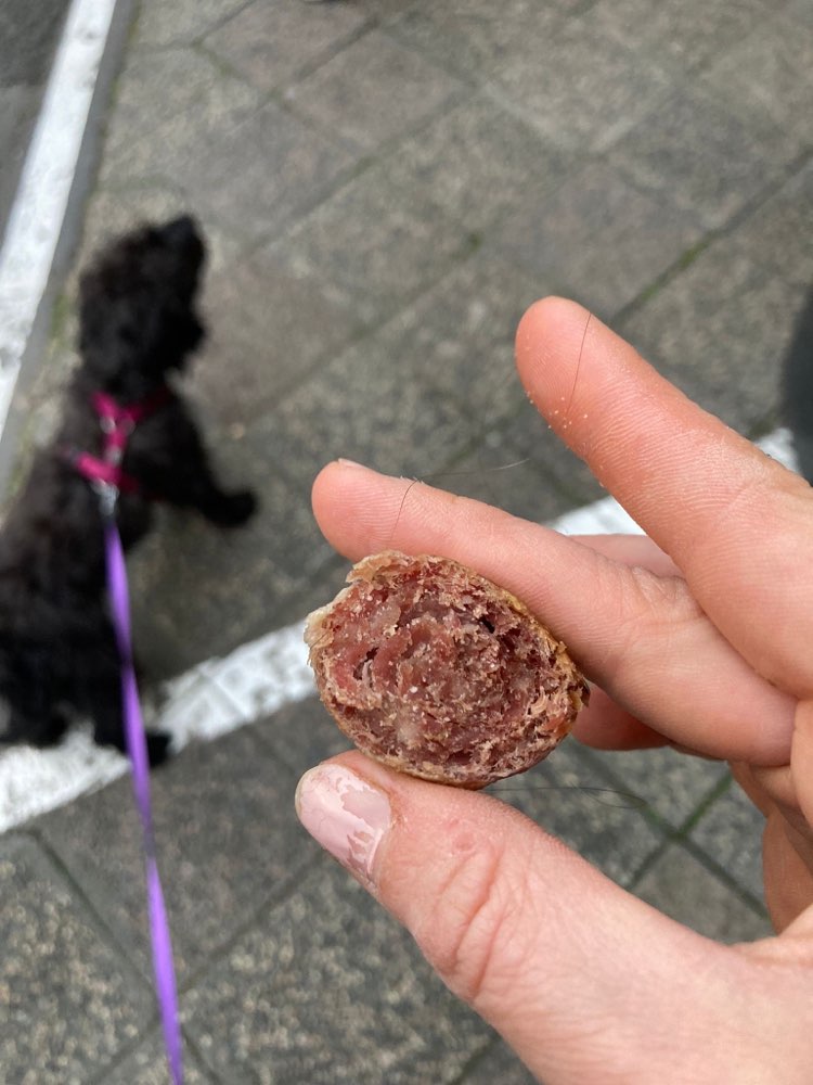 Giftköder-Womöglich giftköder-Profilbild