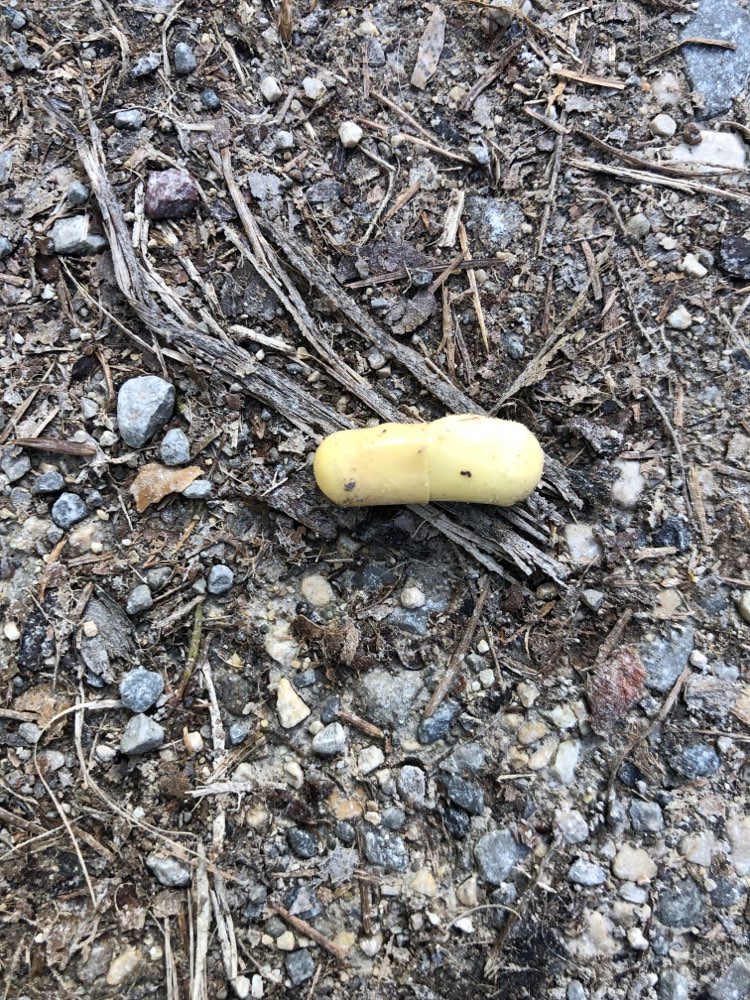 Giftköder-Tabletten auf dem Weg-Profilbild