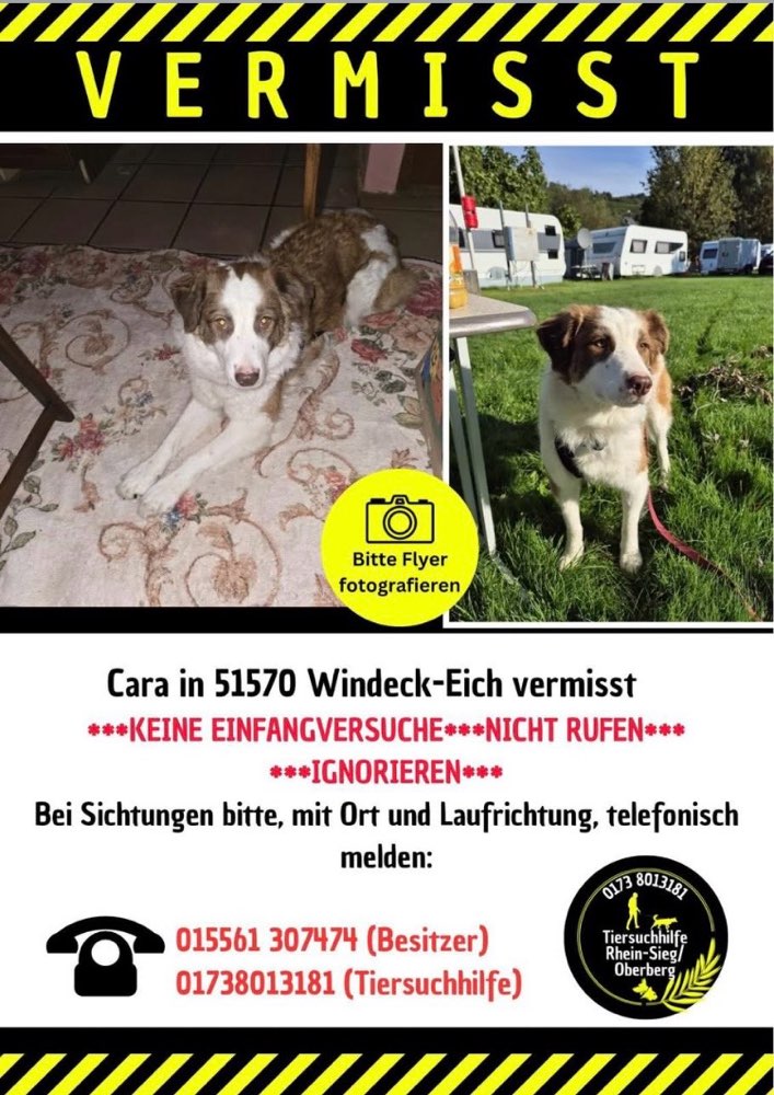 Suchmeldung-Cara-Profilbild