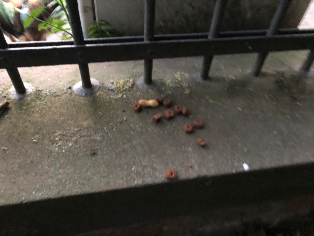 Giftköder-Wieder Hundefutter im Günthersburg-Profilbild