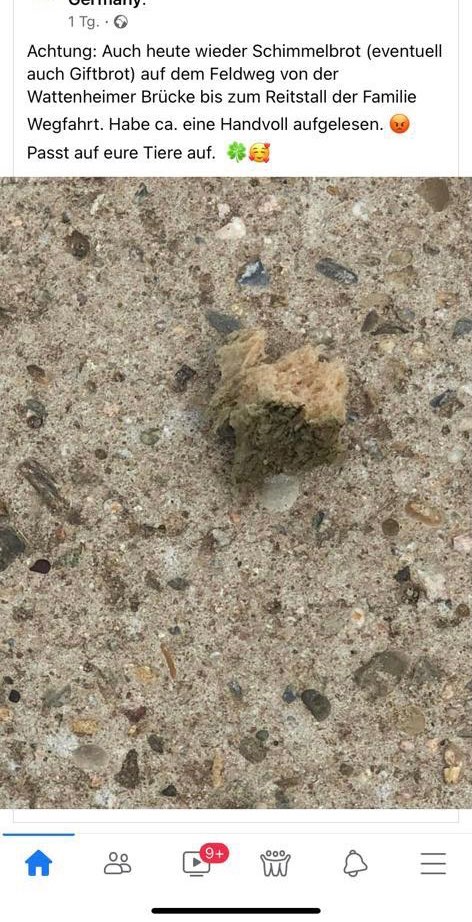 Giftköder-Vergiftetes Brot-Profilbild