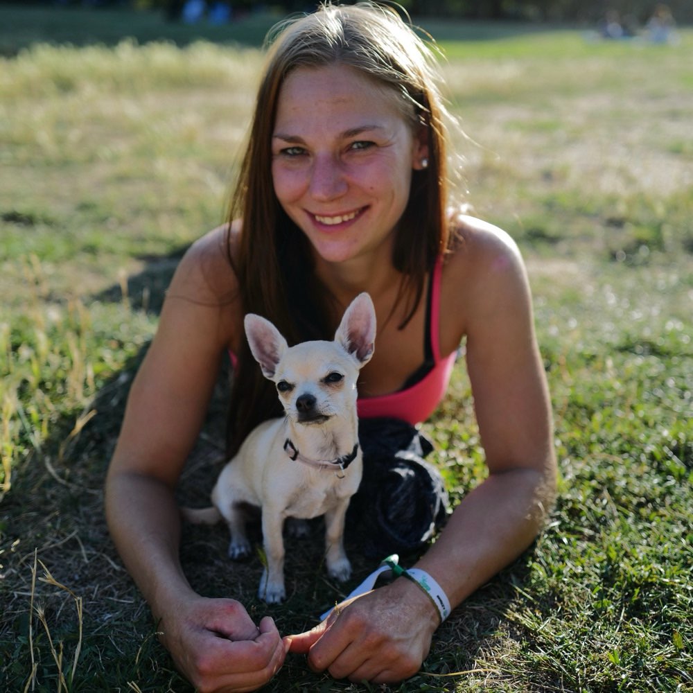 Hundetreffen-Zusammen spazieren gehen-Profilbild