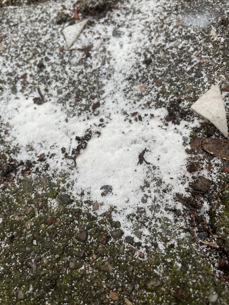 Giftköder-Weißes Pulver auf dem Straße!!!-Profilbild