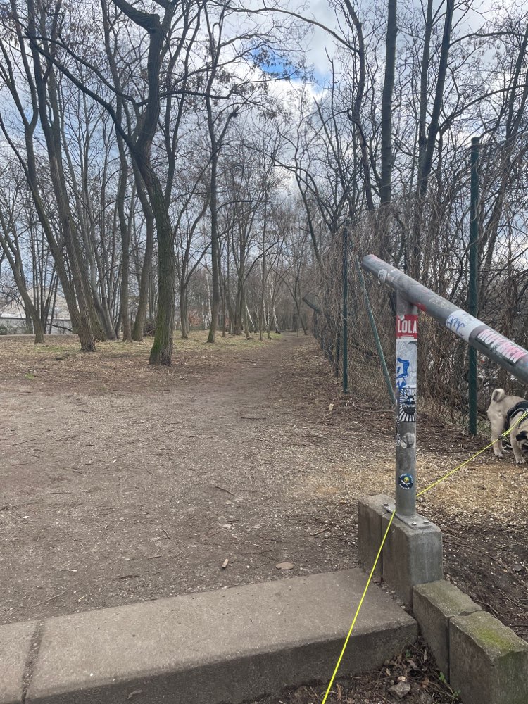 Giftköder-Glasscherben-Profilbild