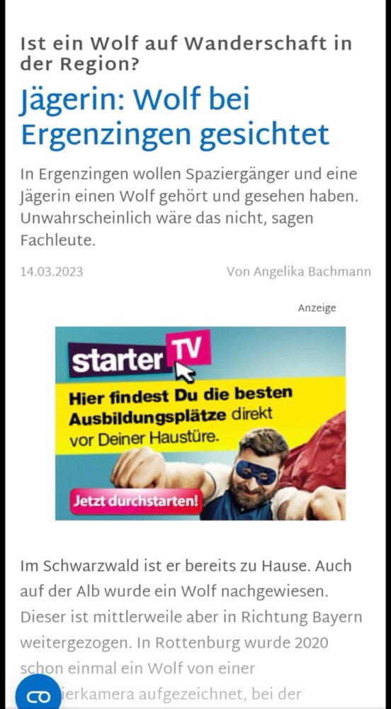 Giftköder-Ergenzingen Wolf gesichtet-Profilbild