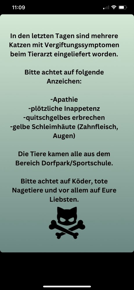 Giftköder-Gift-Profilbild