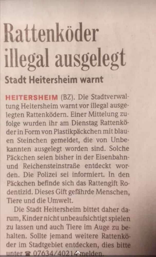 Giftköder-Rattengift-Profilbild
