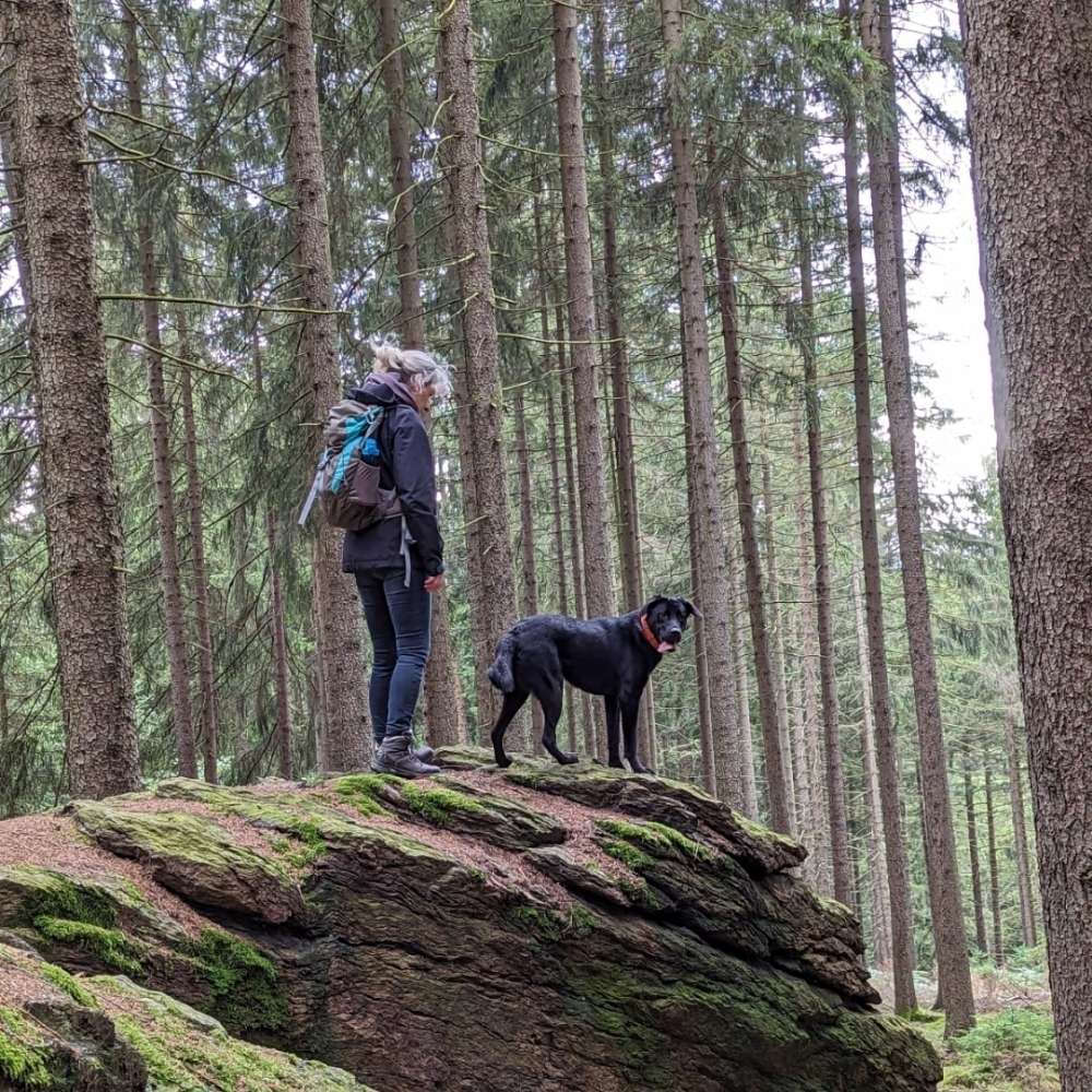 Hundetreffen-Hunderunde in und um Warin-Profilbild