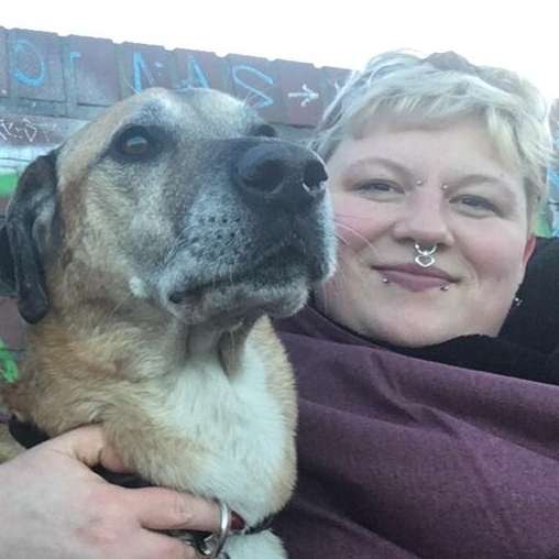 Hundetreffen-Gesucht : Hündin zum Spielen und Spazieren-Profilbild