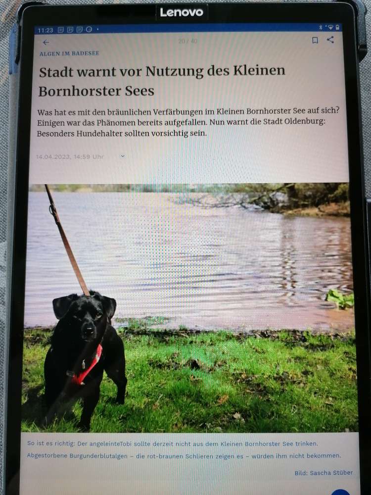 Giftköder-Burgunderblutalge Bornhorster See-Profilbild