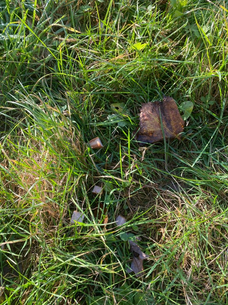 Giftköder-Giftköder Leberkäsewürfel-Profilbild