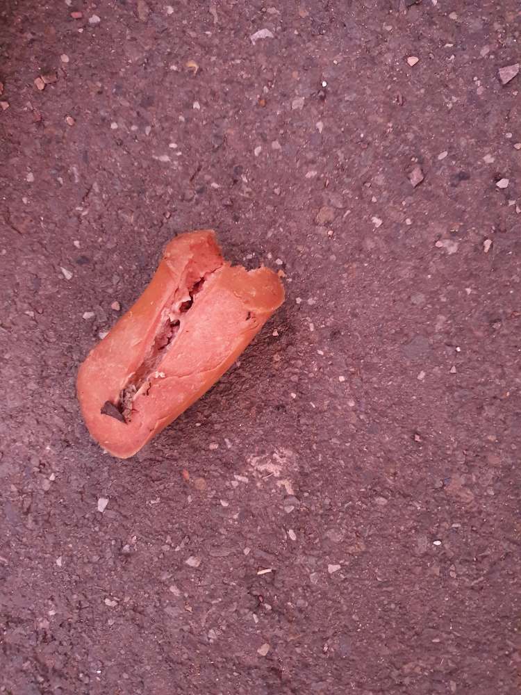 Giftköder-Giftköder-Profilbild