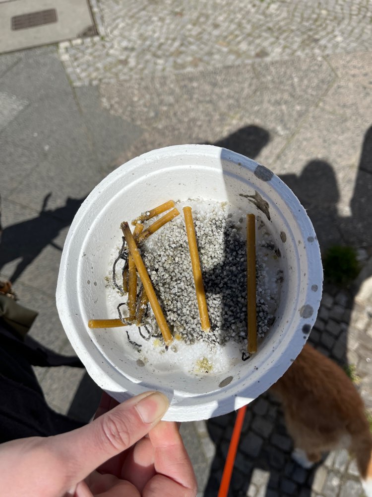 Giftköder-Mögliches Gift-Profilbild