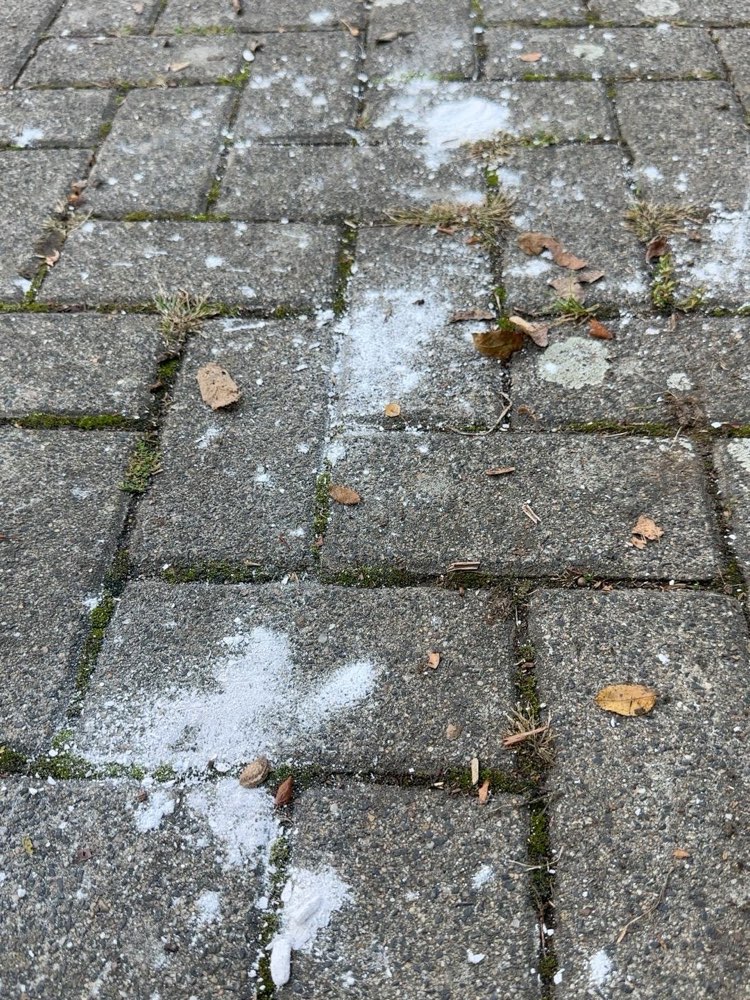 Giftköder-Seltsame pulvrige Substanz-Profilbild